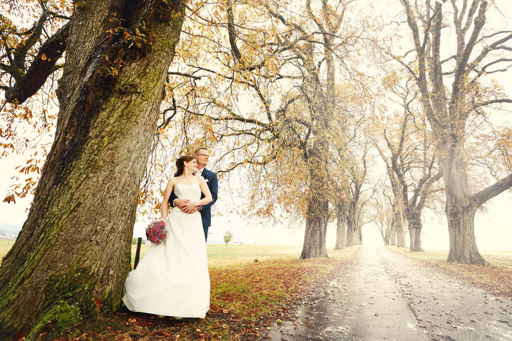 Fog (Hochzeitsfotografie MYK)