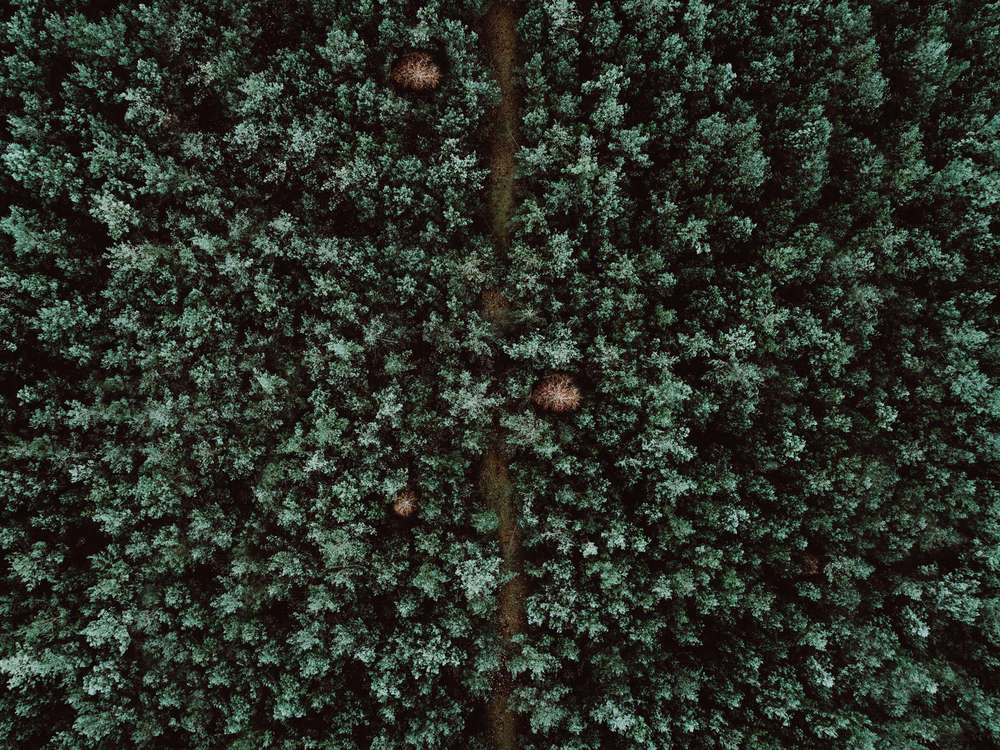 Steven Ritzer Photography