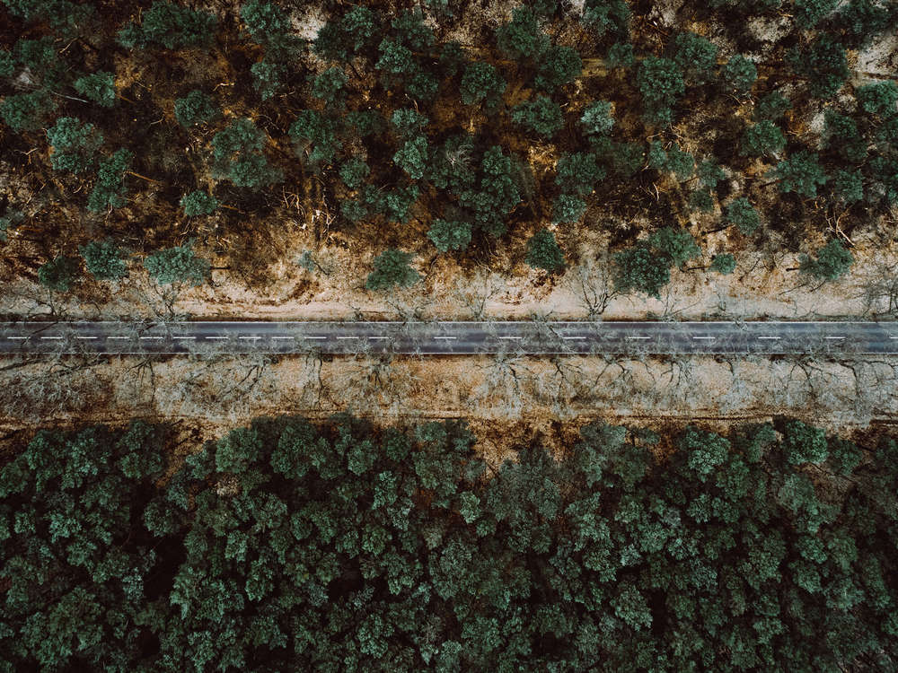 Steven Ritzer Photography