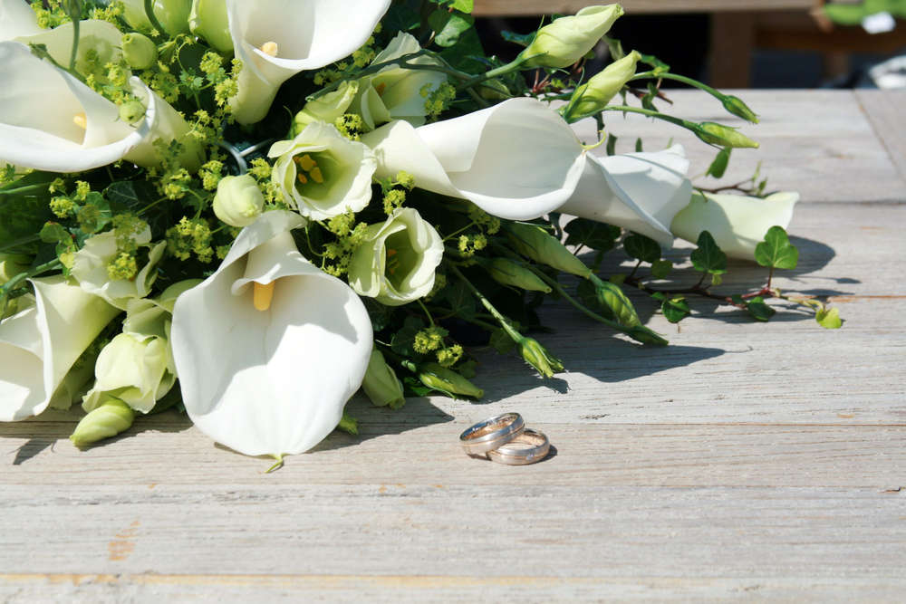 Photo-Art Wilstedt (Photo-Art Wilstedt)