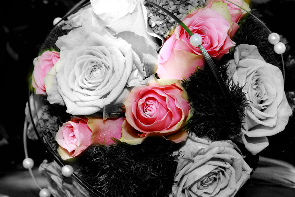 Photo-Art Wilstedt (Photo-Art Wilstedt)