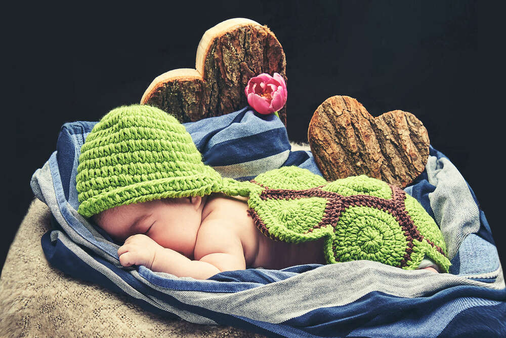 Die Lichtbox (Die Lichtbox)