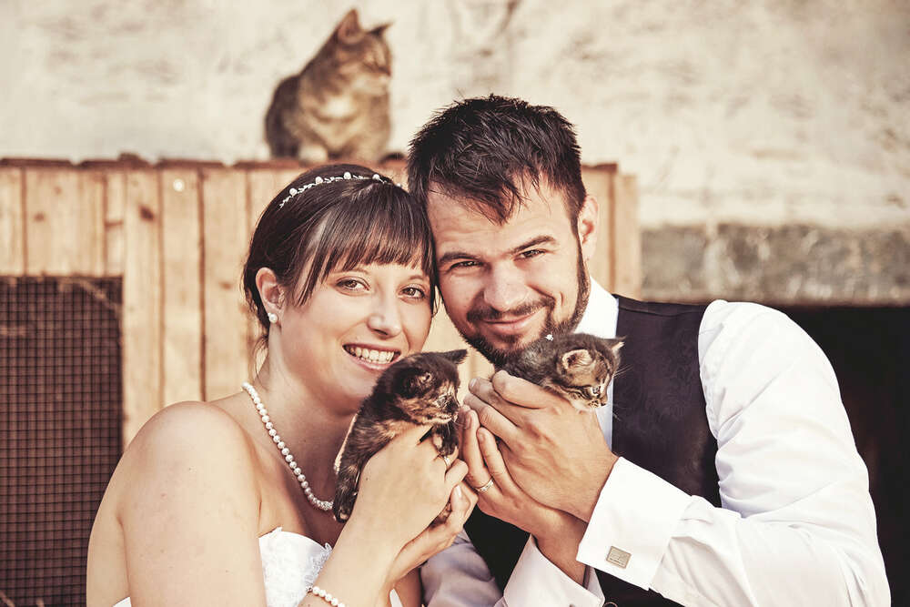 Die Lichtbox (Die Lichtbox)