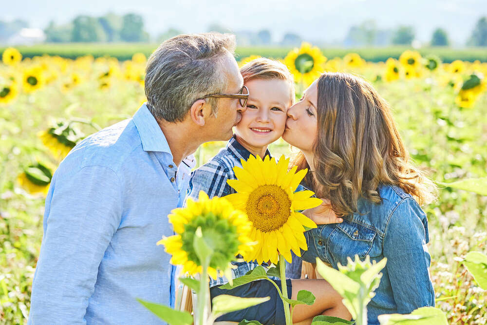 Die Lichtbox (Die Lichtbox)
