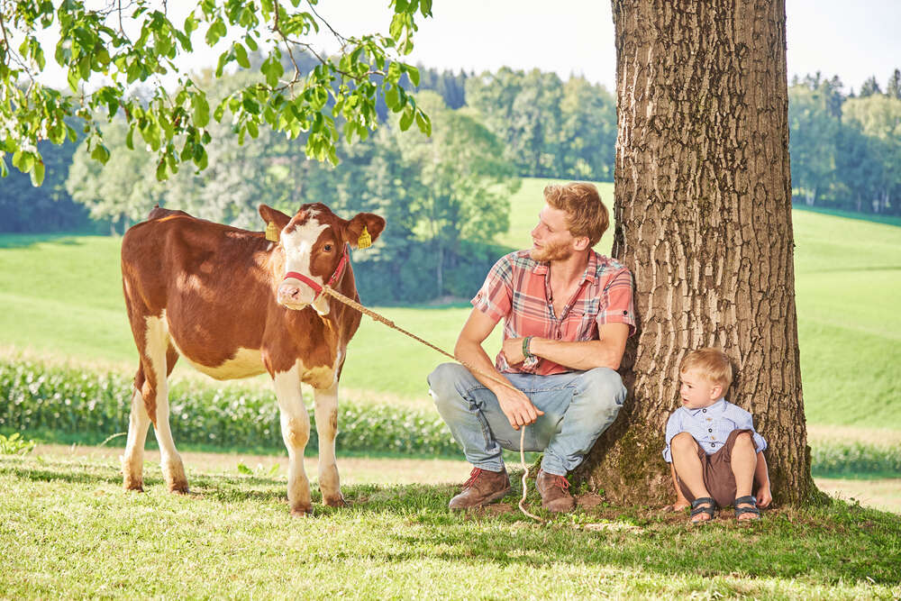 Die Lichtbox (Die Lichtbox)