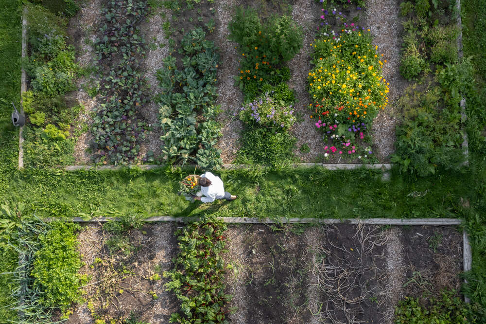 Hostrup-Fotografie (Hostrup-Fotografie)