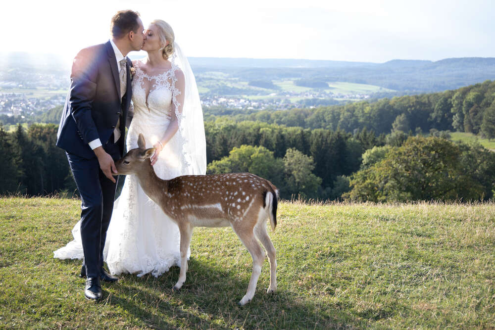 Hostrup-Fotografie (Hostrup-Fotografie)