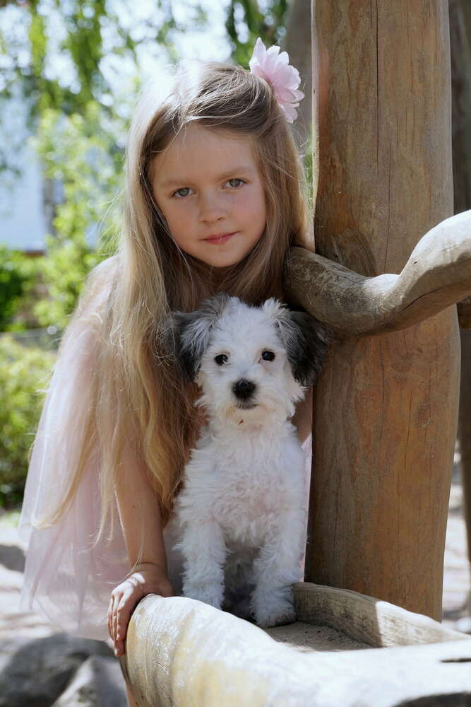 Foto-Digital-Studio Marcus Müller (Foto-Digital-Studio Marcus Müller)