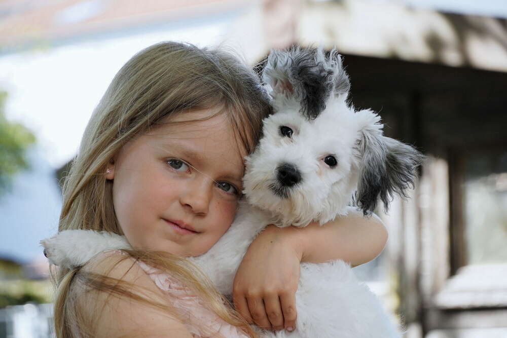 Foto-Digital-Studio Marcus Müller (Foto-Digital-Studio Marcus Müller)