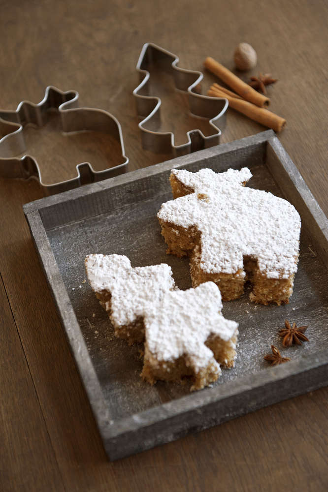 Vanessa Jansen (Vanessa Jansen)