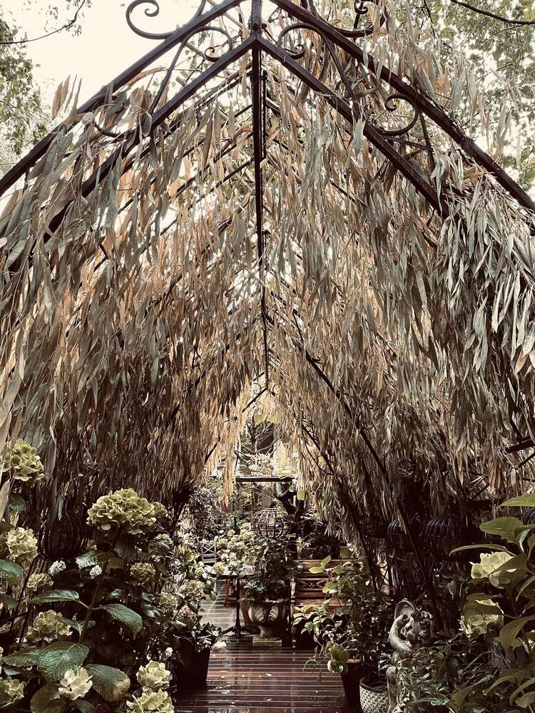 Nadine Falk Fotografie