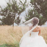 Nadine Falk Fotografie