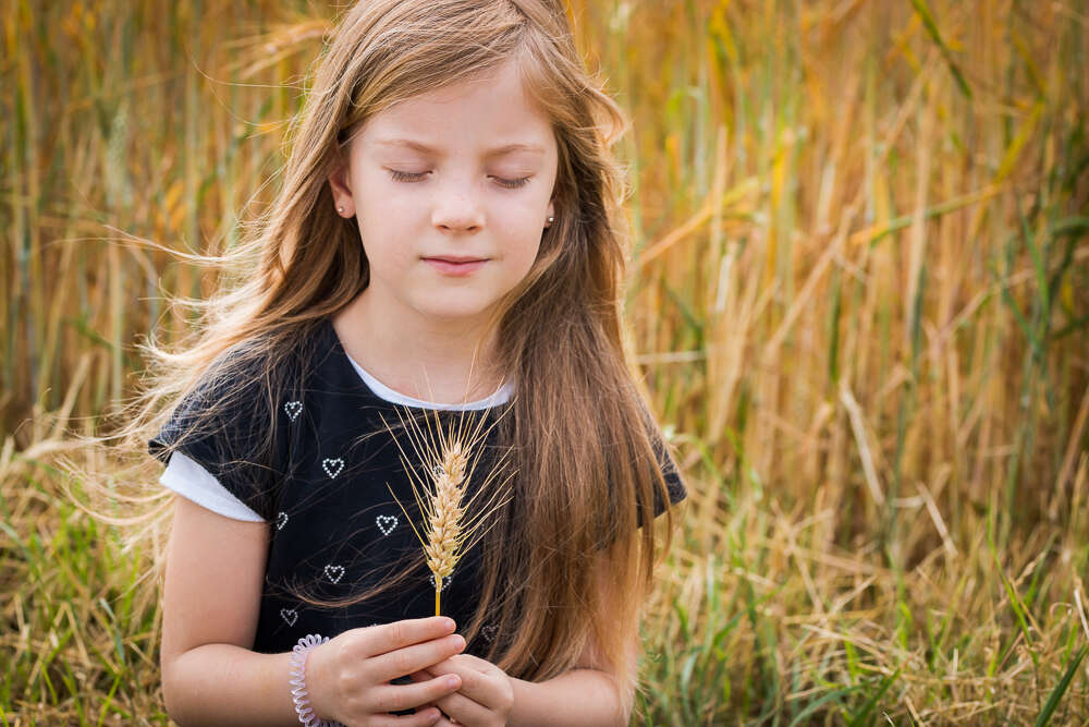 Ein Gedanke im Kornfeld (focuspokus - zauberhafte Fotos)