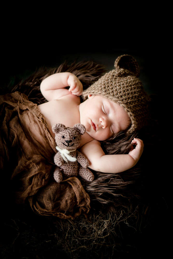 B&auml;rchen  (focuspokus - zauberhafte Fotos)