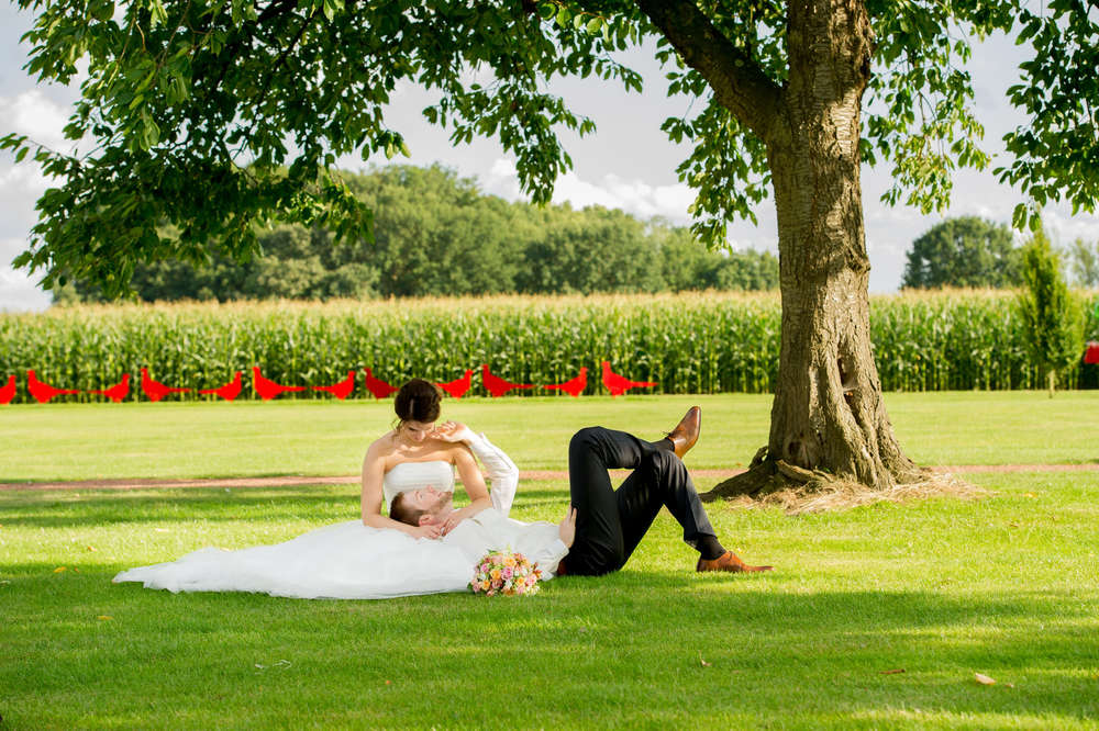 Atelier für Fotografie Golz (Atelier für Fotografie Golz)