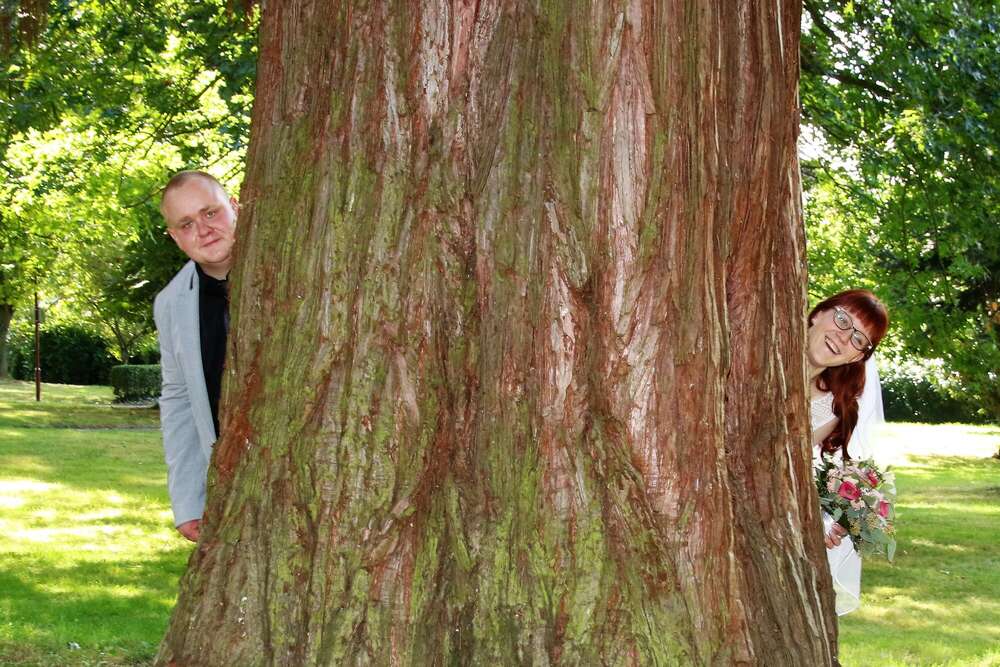 Fotografie Alex Schaerer (Fotografie Alex Schaerer)