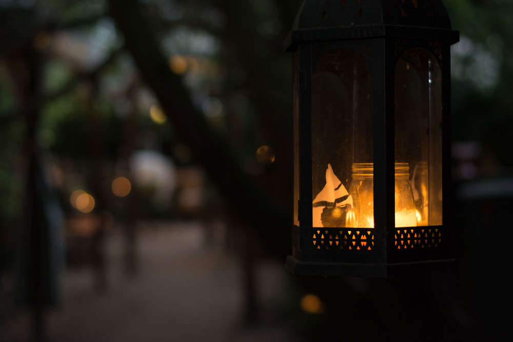 Foto Thimm (Foto Thimm)