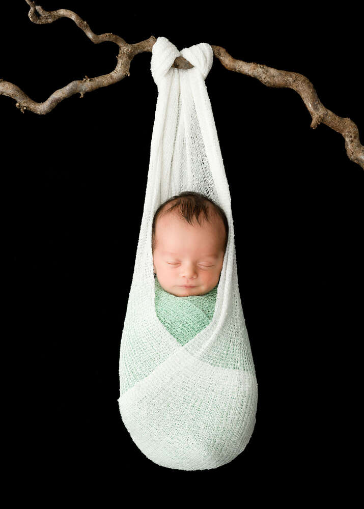 Fotostudio René (Fotostudio René)