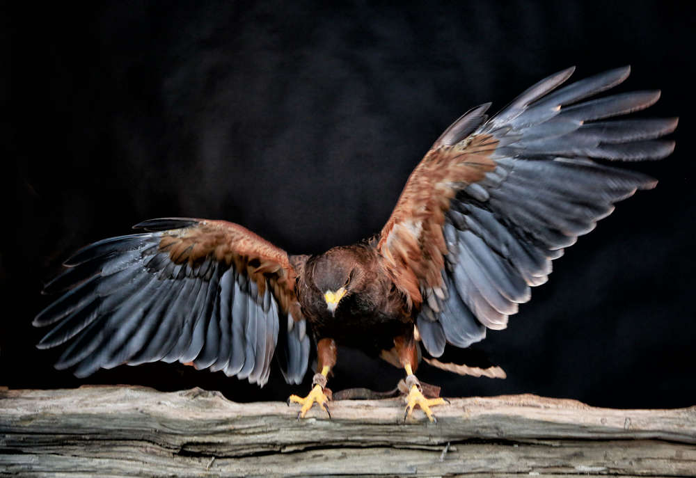 PhotoArtWork (PhotoArtWork)