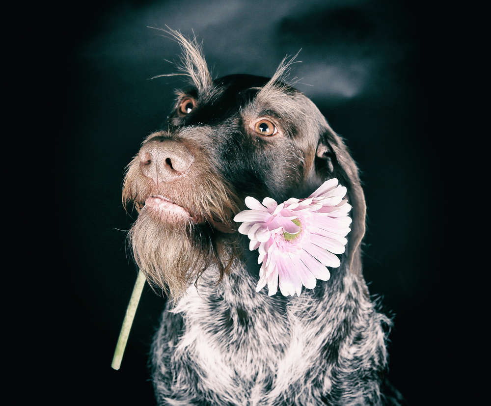 PhotoArtWork (PhotoArtWork)