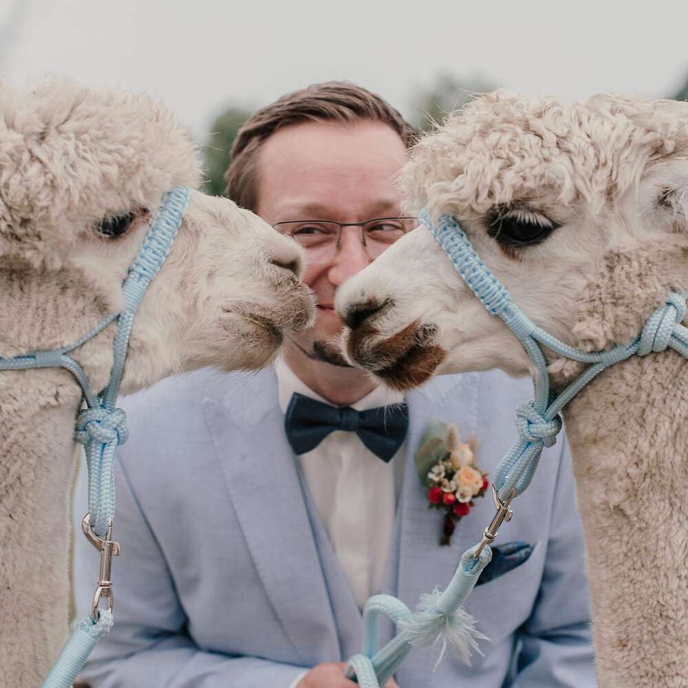 Fotostudio Lichtrevier® GbR (Fotostudio Lichtrevier® GbR)