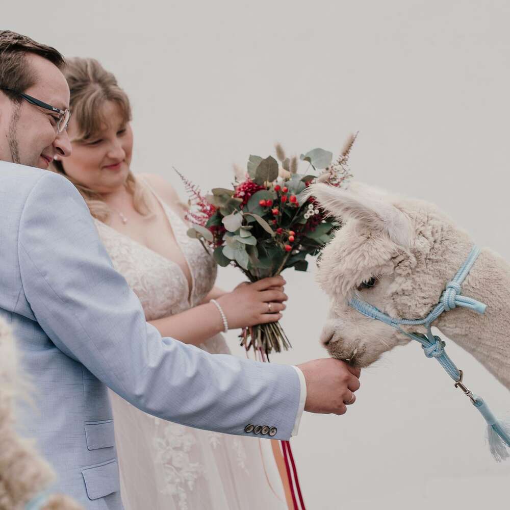 Fotostudio Lichtrevier® GbR (Fotostudio Lichtrevier® GbR)