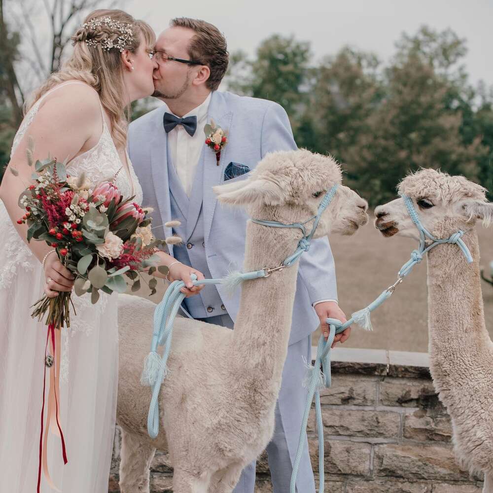 Fotostudio Lichtrevier® GbR (Fotostudio Lichtrevier® GbR)