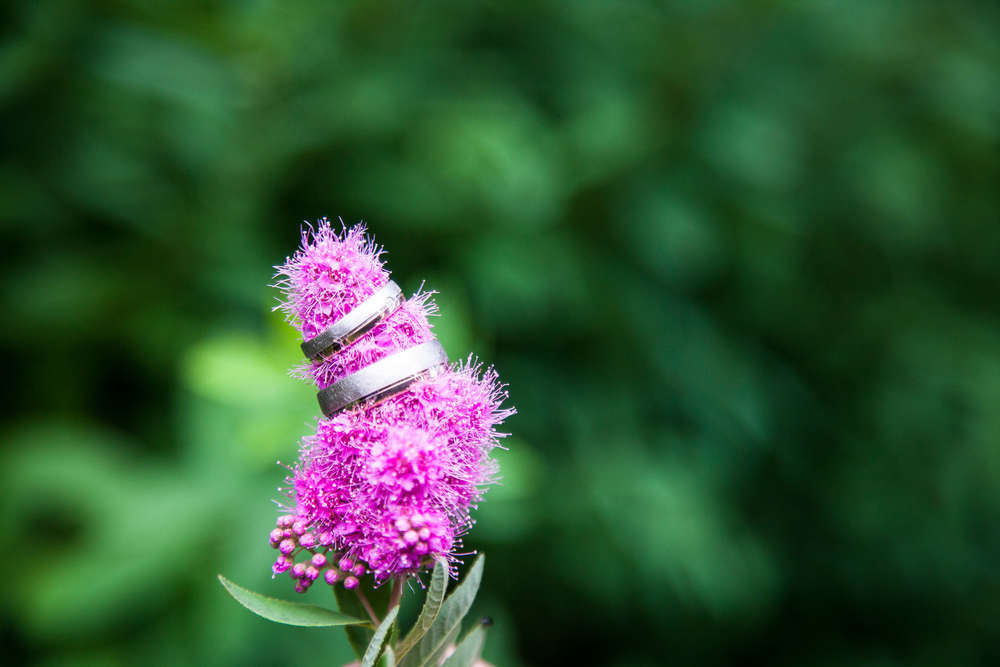 Edsnaps Photography & Beautiful Wedding (Edsnaps Photography & Beautiful Wedding)
