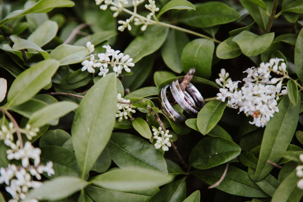 Edsnaps Photography & Beautiful Wedding (Edsnaps Photography & Beautiful Wedding)