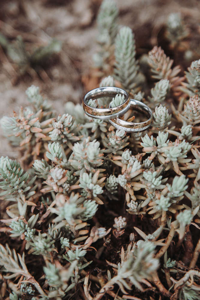 Edsnaps Photography & Beautiful Wedding