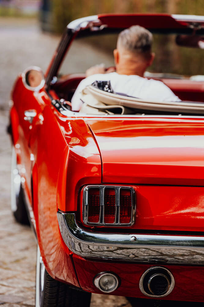 Lifestyle Mustangshooting (Fotografin für Mensch, Tiere und Ferienimmobilien)