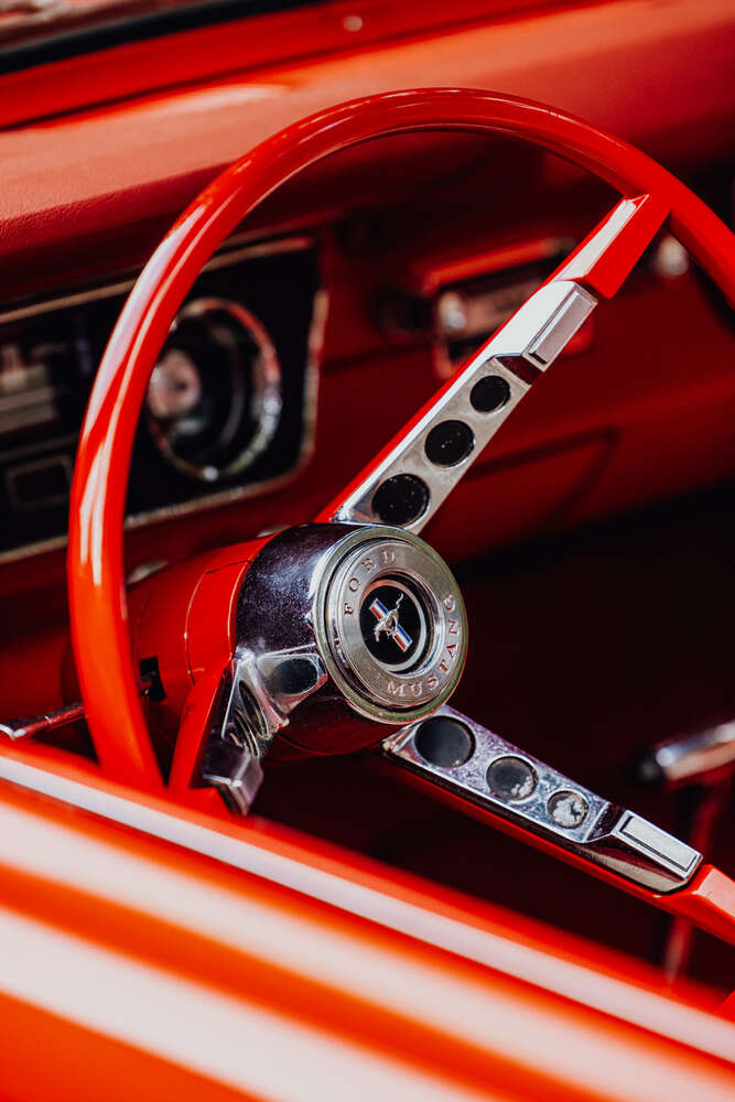 Detail Fotoshooting für einen Mustang (Fotografin für Mensch, Tiere und Ferienimmobilien)