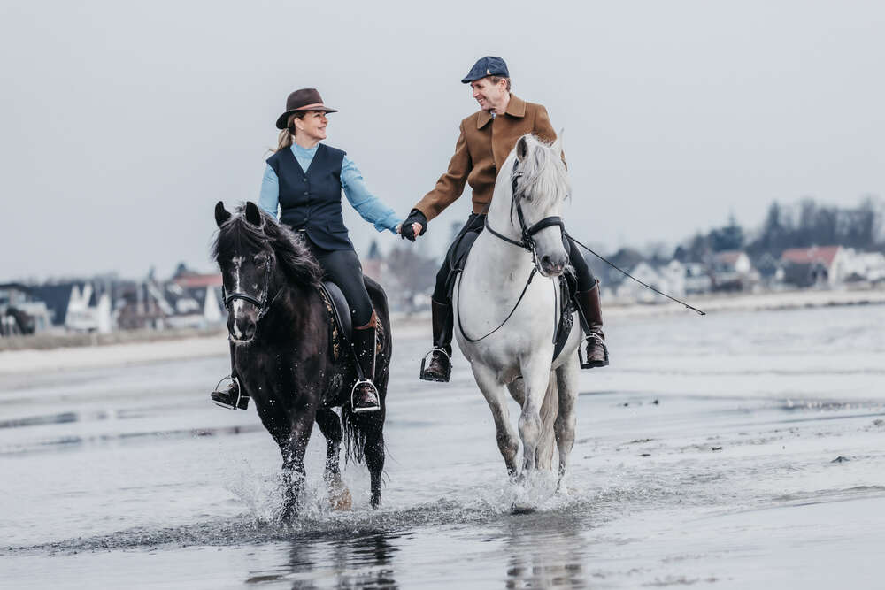 Fotografin für Mensch, Tiere und Ferienimmobilien