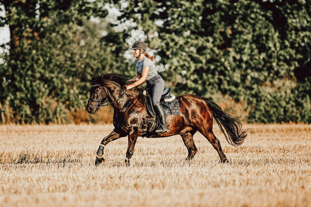Fotografin für Mensch, Tiere und Ferienimmobilien