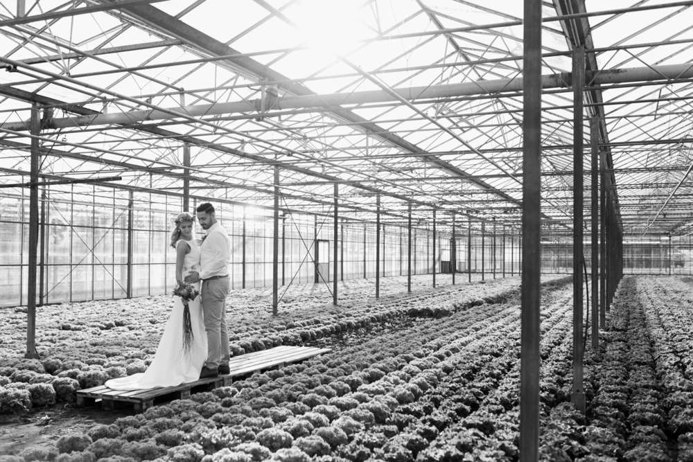 Brautpaar im Gewächshaus in Hamburg (Deniz-Fotografie)
