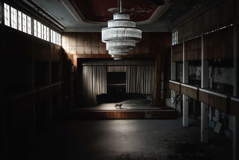 L O S T in D O G S (lost.in.dogs)