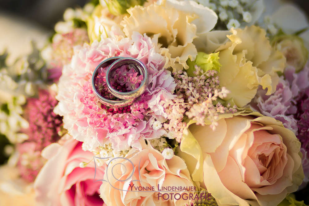 Yvonne Lindenbauer Fotografie (Yvonne Lindenbauer Fotografie)
