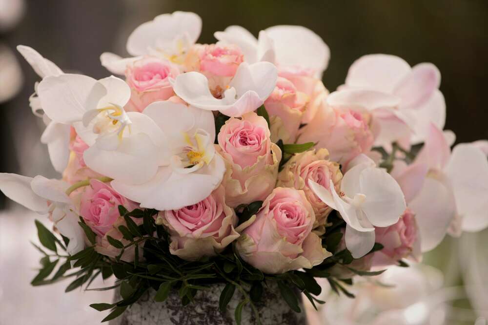 Lillo Photo Art (Lillo Photo Art)