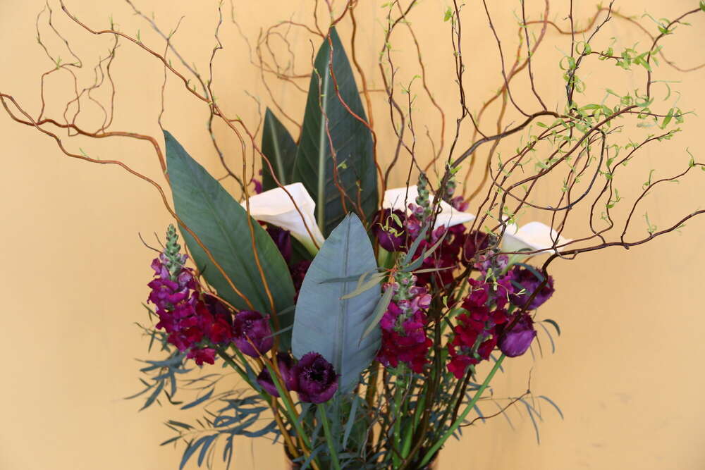 Lillo Photo Art (Lillo Photo Art)