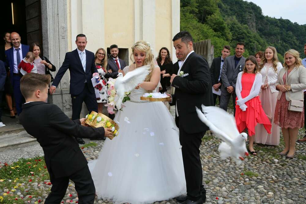 Lillo Photo Art (Lillo Photo Art)