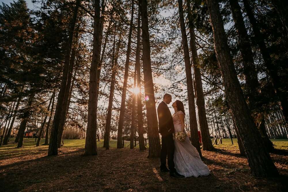 Lillo Photo Art (Lillo Photo Art)