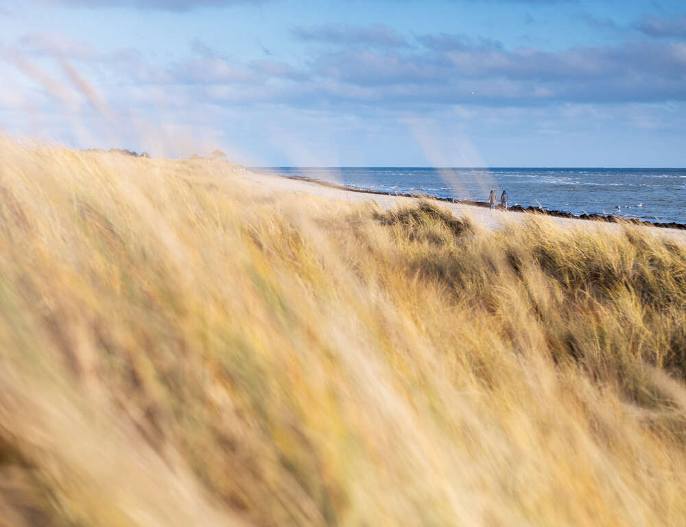 Jan Konitzki Fotografie
