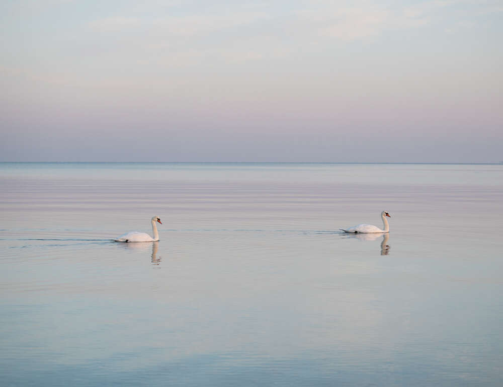 Jan Konitzki Fotografie