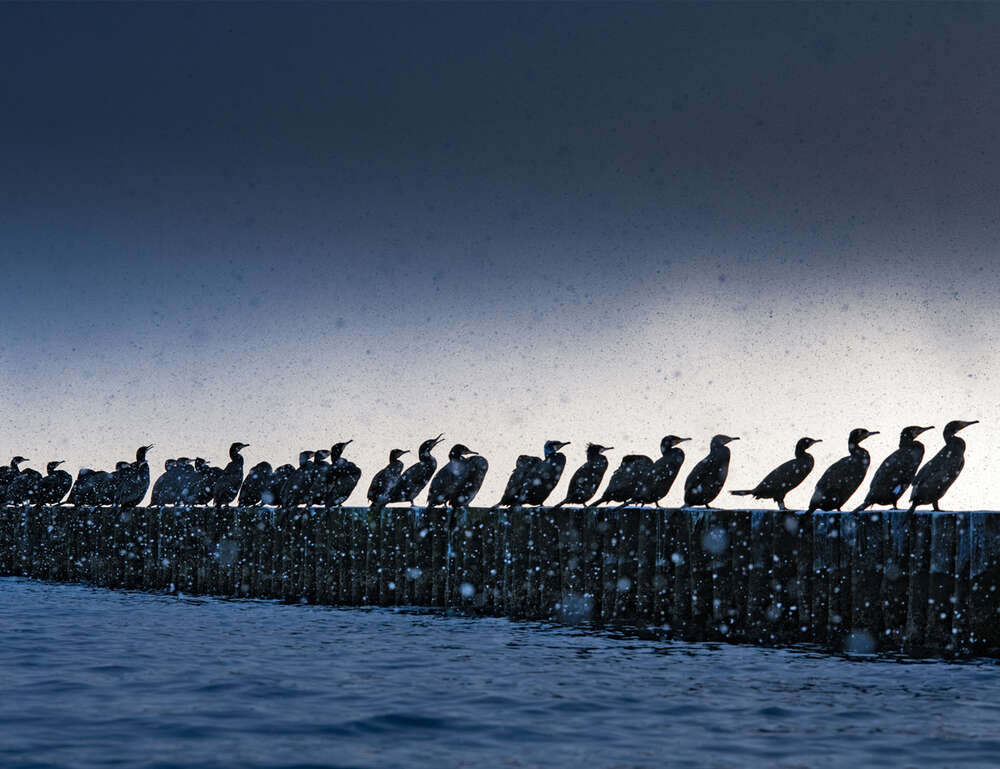Jan Konitzki Fotografie