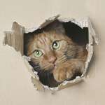 Lightspruch photography