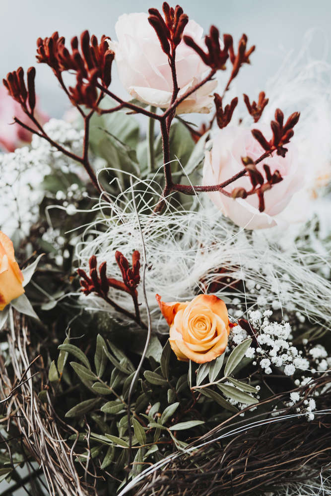 Aylina Moi Fotografie (Aylina Moi Fotografie)