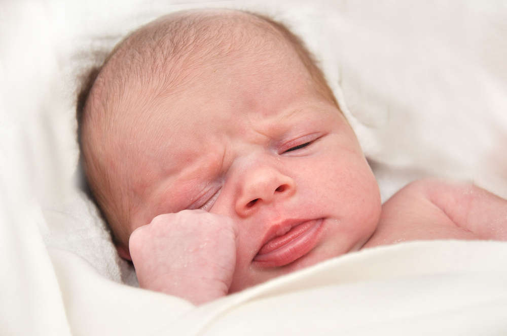 Sibylle Wegner Fotografie (Sibylle Wegner Fotografie)