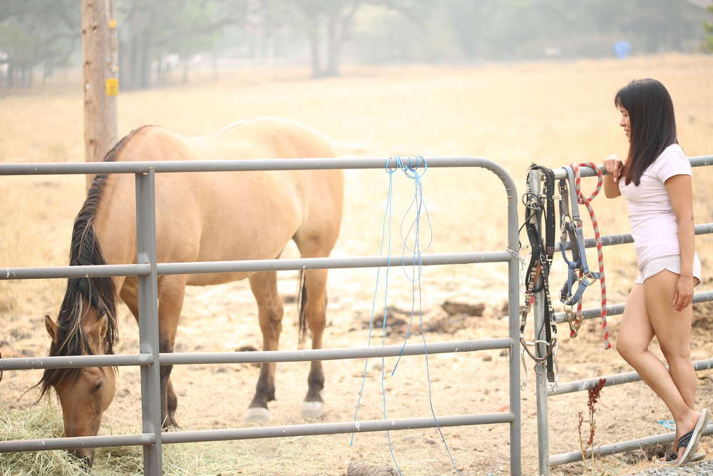 Der CHRIS Fotografie (Der CHRIS Fotografie)