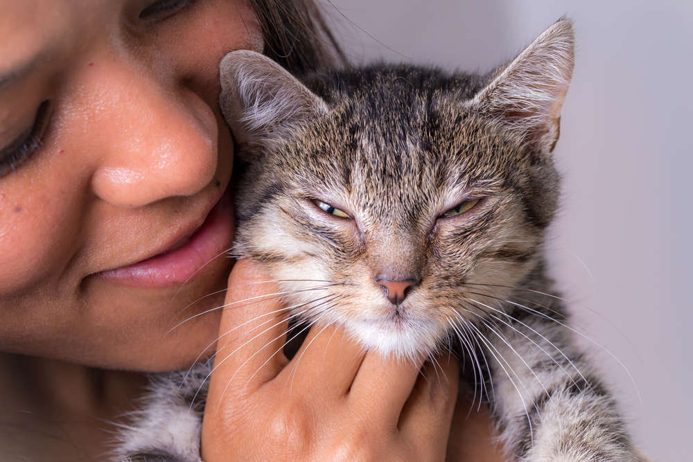 Der CHRIS Fotografie (Der CHRIS Fotografie)