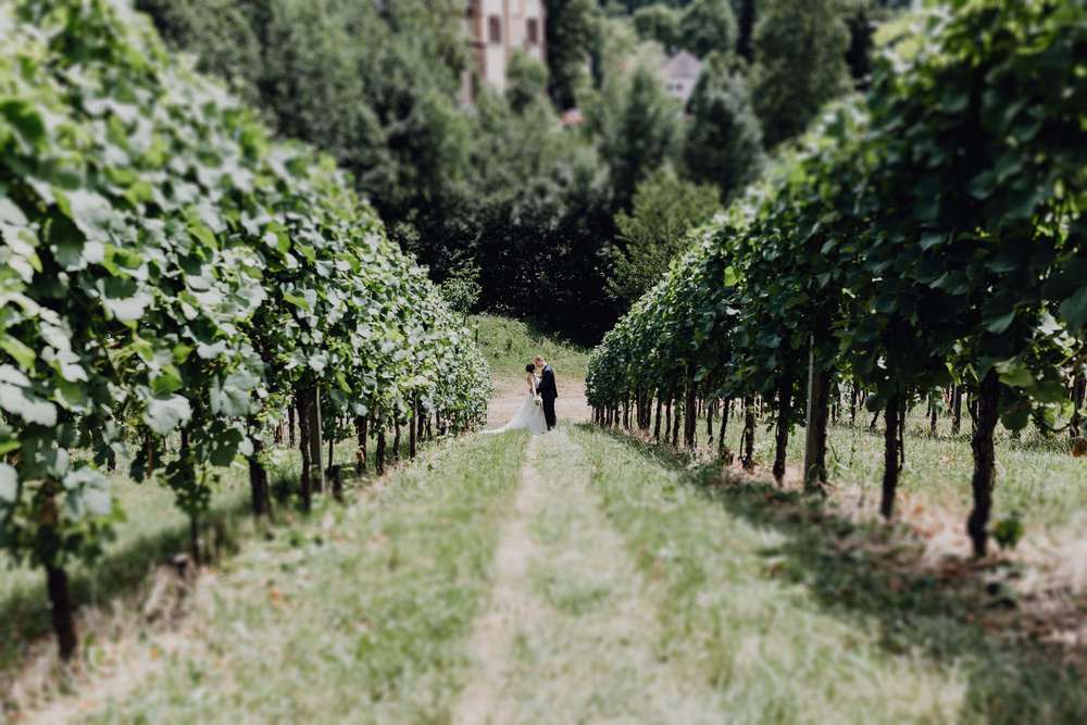 • bunt auf weiß • Fotografie